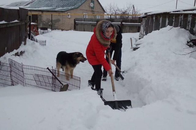Помощь в уборке снега