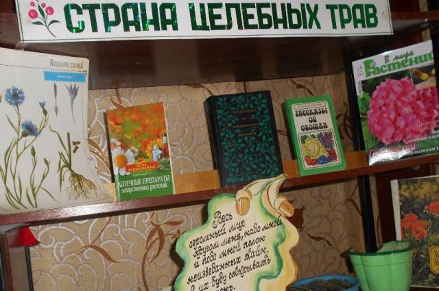 Всё это называется природой